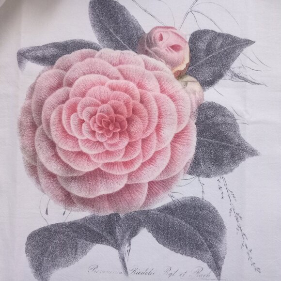 Montgomery Street Camellia Cotton Flour Sack Dish Towel 30" x 30" Floral Nature - Picture 1 of 4